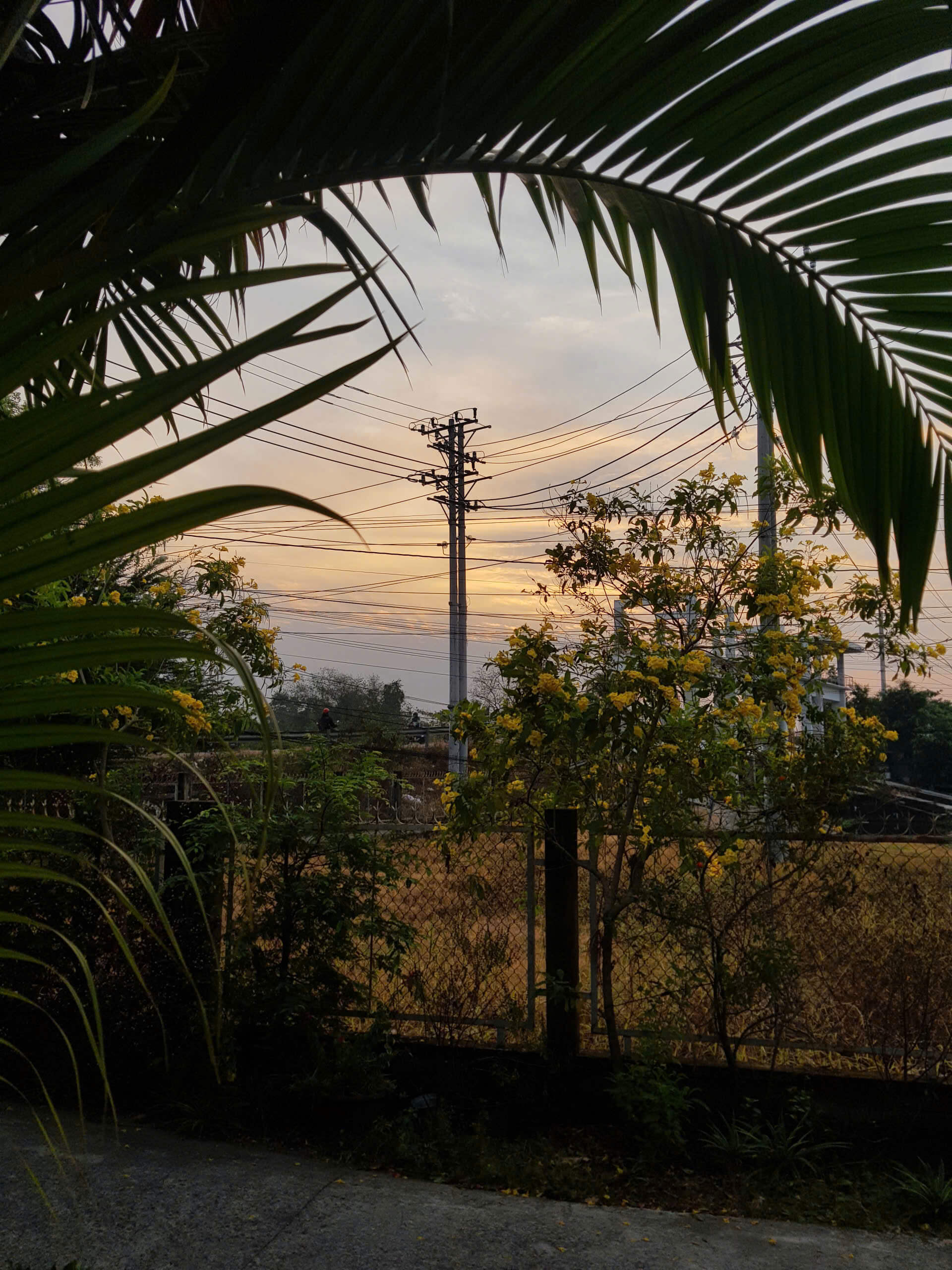 sự quá nghĩ pttng