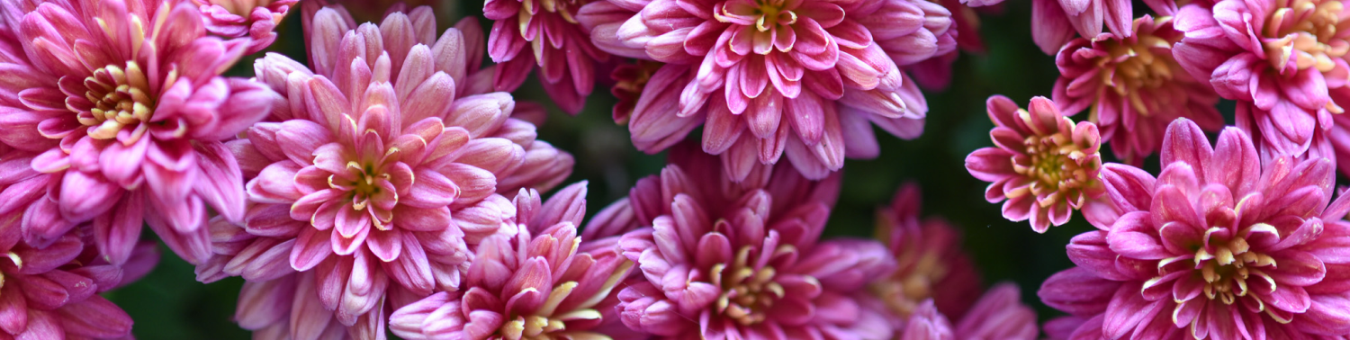 pham thuy thao nguyen tinh yeu oi