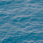 phamthuythaonguyen Su roi di qua nghi va binh than