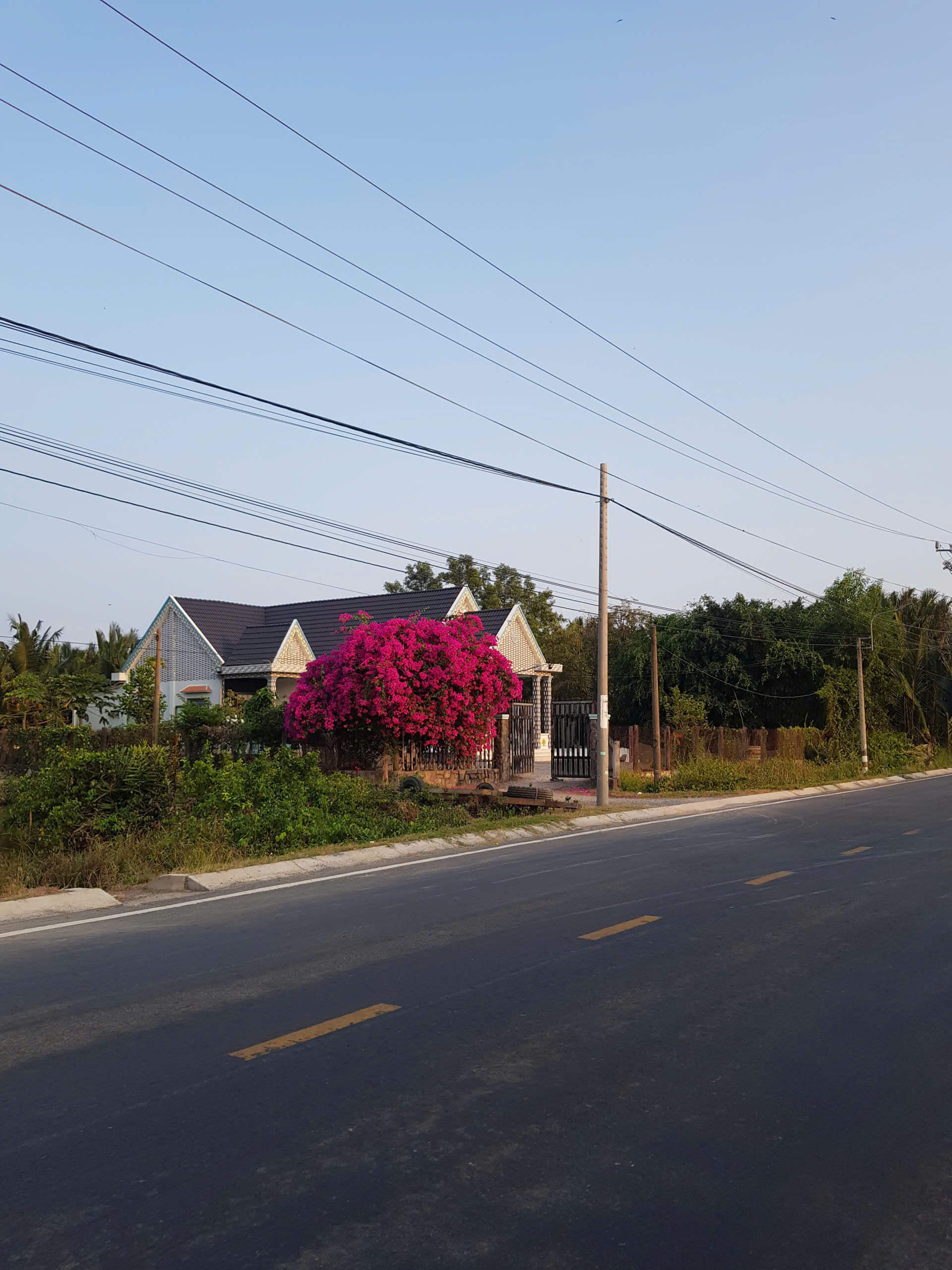 Trưởng thành là khi nào? 2 khi nào trưởng thành phạm thùy thảo nguyên