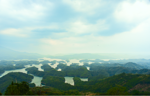 202604 - Hidden gem in Gia Nghĩa 15 Nếu có dịp đi Gia Nghĩa, bạn hãy ghé Tà Đùng