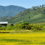 pham thuy thao nguyen co hen voi thang nam dak nong