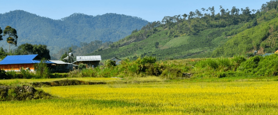 Topic 15 pham thuy thao nguyen co hen voi thang nam dak nong